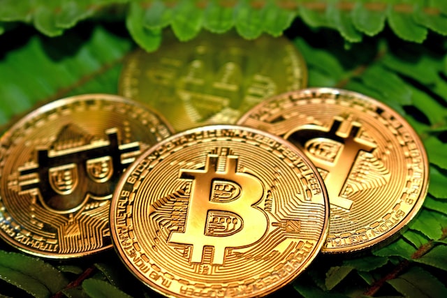 fil币价格今日行情_fil币今日行情最新_filecoin价格今日行情